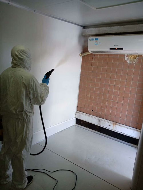 圖 楊家坪清潔服務(wù)公司 各種類型清潔小時專業(yè)服務(wù) 重慶家政