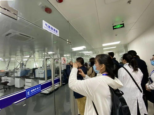 信息技術咨詢服務為落實‘六穩六保’注入強勁動力 中國-東盟檢驗檢測認證高技術服務集聚區賦能企業騰飛