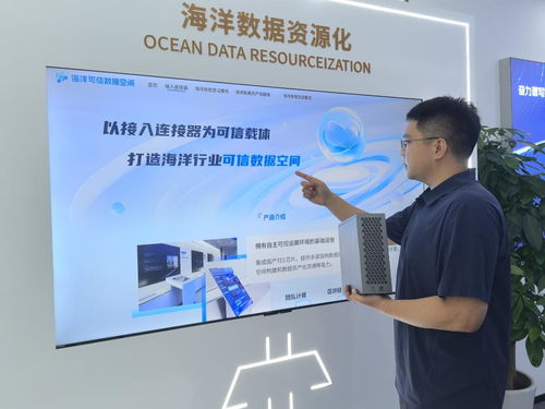 海上新山東 科技興海，信息技術(shù)咨詢服務(wù)助力蔚藍(lán)發(fā)展