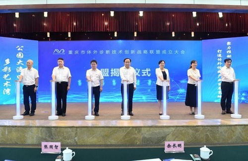 重慶市體外診斷技術(shù)創(chuàng)新戰(zhàn)略聯(lián)盟成立，以信息技術(shù)服務(wù)為引擎，助力打造全國產(chǎn)業(yè)發(fā)展高地