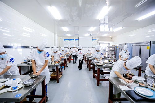 重慶高新區(qū)首屆“高新工匠杯”技能大賽開(kāi)賽，信息技術(shù)咨詢服務(wù)領(lǐng)域人才角逐巔峰